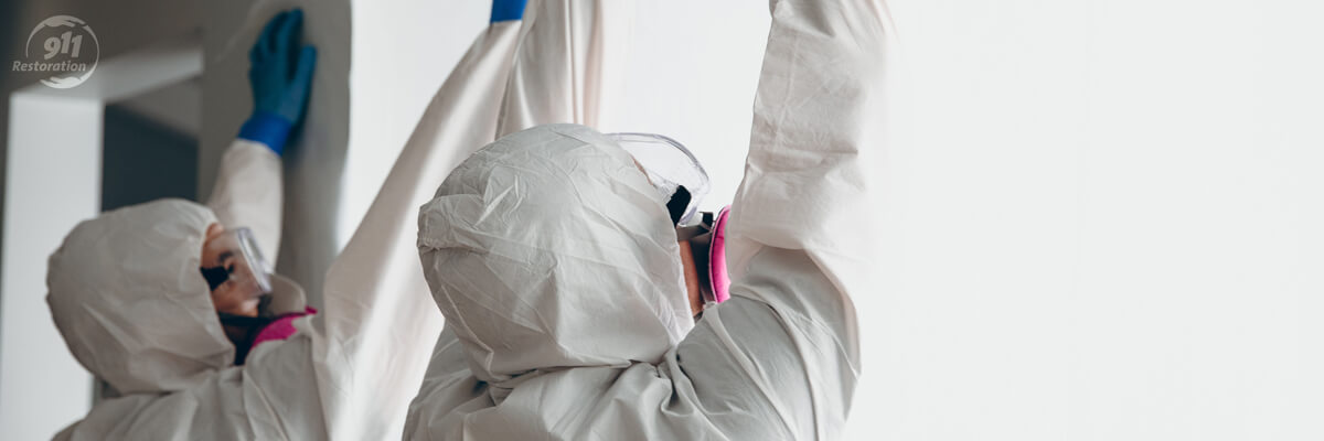 Mold Removal in Madison